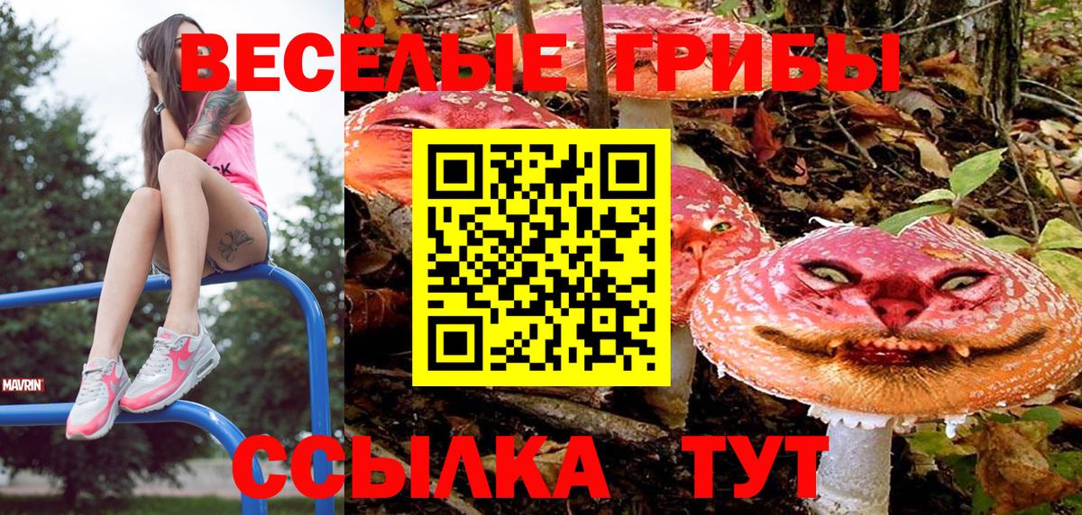 Видное  Псилоцибиновые грибы Cubensis  Вход с VPN 