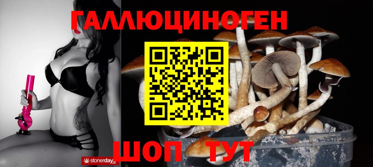 Псилоцибиновые грибы Cubensis Видное